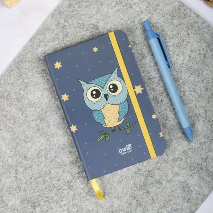 9x14 cm Sert Kapak Çizgili Not Defteri – Tarihsiz Okul Defteri – Baykuş 2