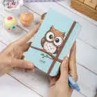 9x14 cm Sert Kapak Çizgili Not Defteri – Tarihsiz Okul Defteri – Baykuş 1