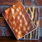 A5 Spiralli Karton Kapak 2li Set Kareli Ders Programlı Not Okul Defteri - Ceylan, Kaplan