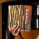 A5 Spiralli Karton Kapak 2li Set Kareli Ders Programlı Not Okul Defteri - Ceylan, Kaplan