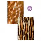 A5 Spiralli Karton Kapak 2li Set Kareli Ders Programlı Not Okul Defteri - Ceylan, Kaplan