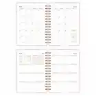 2025-2026 A5 Akademik Ajanda Spiralli Kuşe Kapak 16 Aylık - Renklerin Dansı