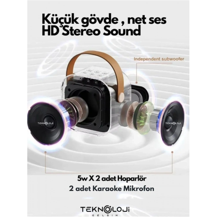 2 Mikarfonlu Kareoke Set Cep Boyu