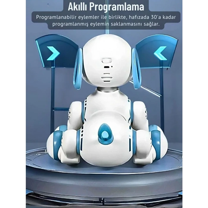 Uzaktan Kumandalı Çok Fonksiyonlı Akllı Aktivite & Eğlence Robot Köpek