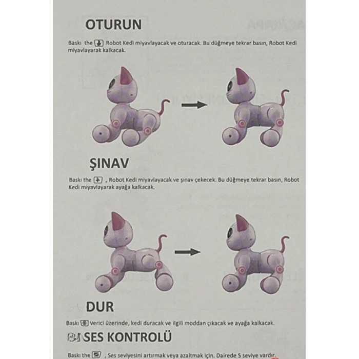 Uzaktan Kumandalı Çok Fonksiyonlı Akllı Aktivite & Eğlence Robot Kedi