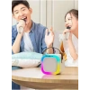 2 Mikarfonlu Kareoke Set Cep Boyu