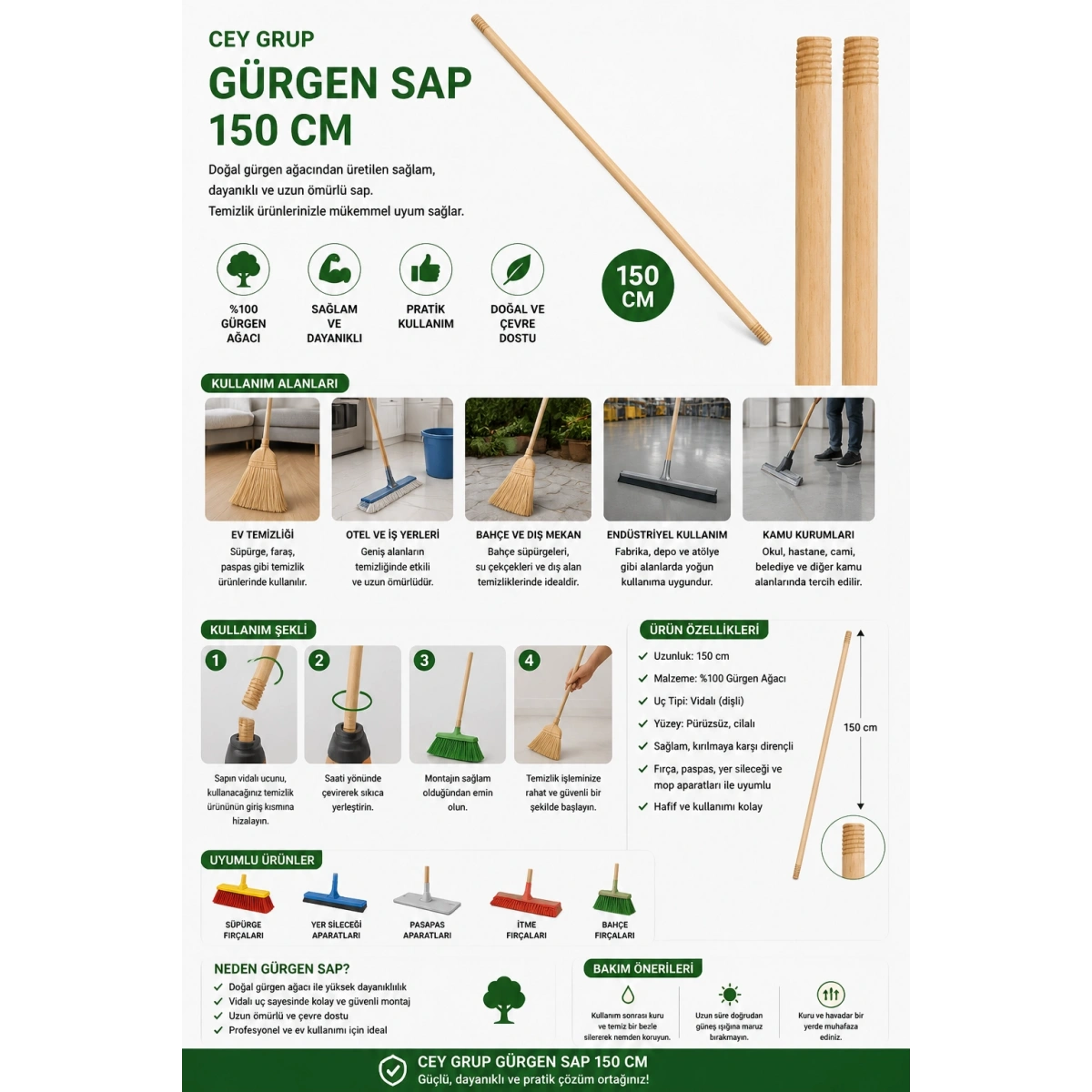 Gürgen Sap 150 cm