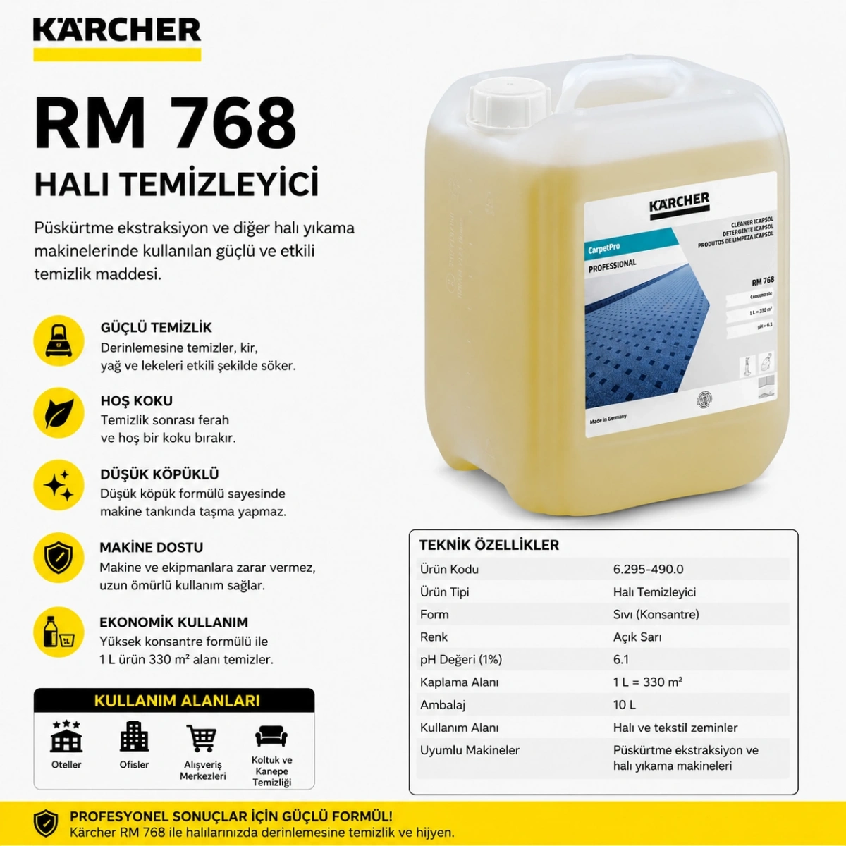 Karcher RM 768 Halı Temizleyici 10 L