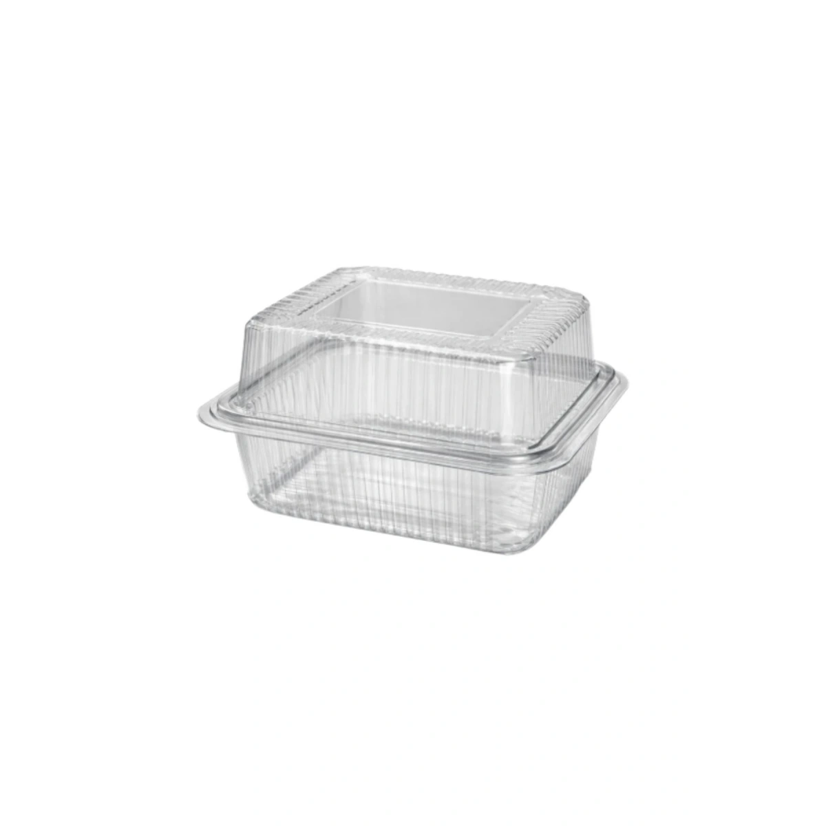 Anı Sızdırmaz Peynir Kabı 500 cc 100lü (Ölçüleri: 15x11,5x9 cm)
