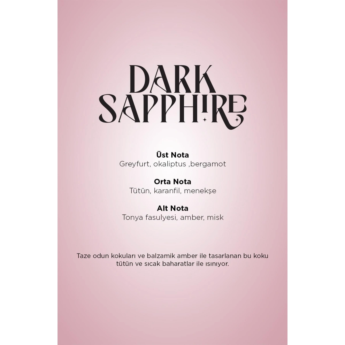 Carpex Aroma Oil 100 ml Premium Dark Sapphire