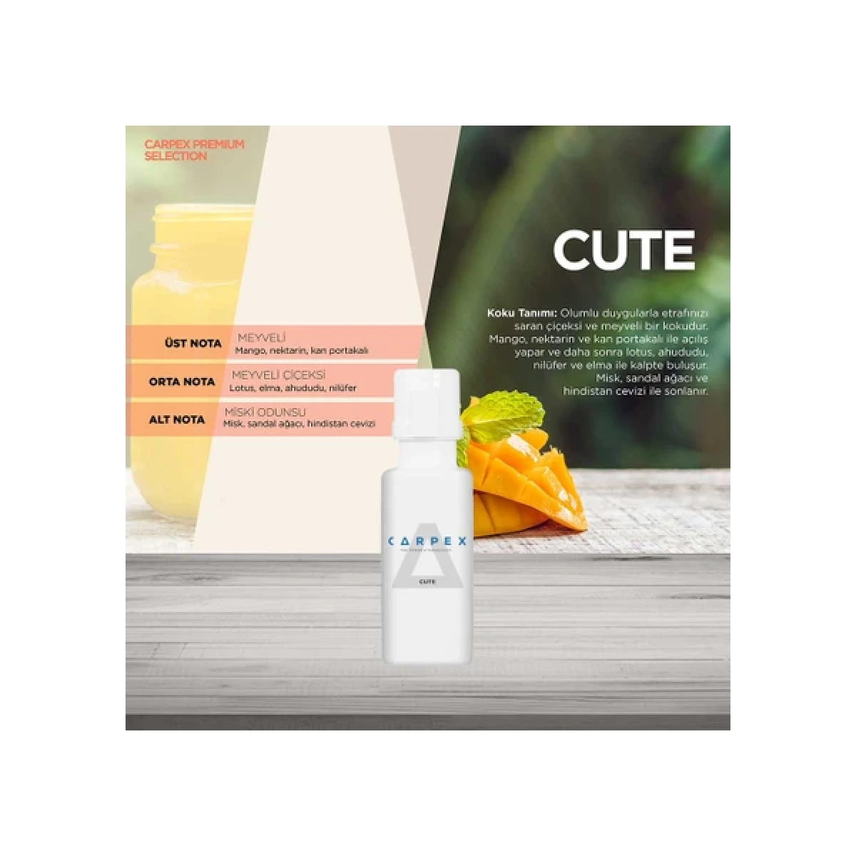 Carpex Aroma Oil 500 Ml Cute