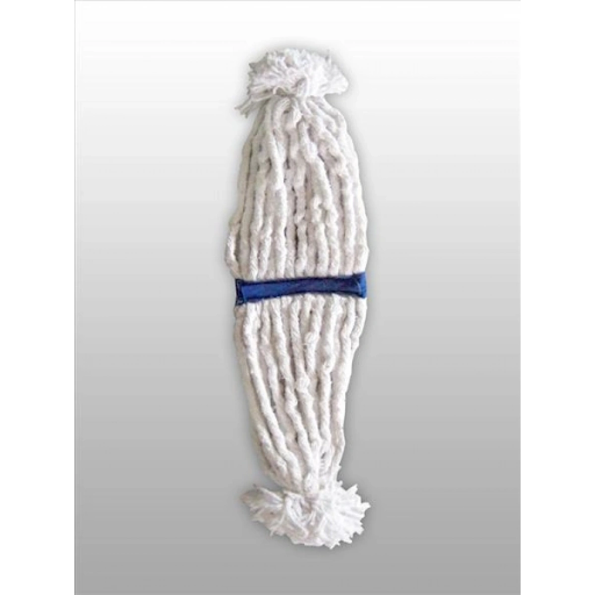 Islak Kasgam Mop Dar 350 Gr