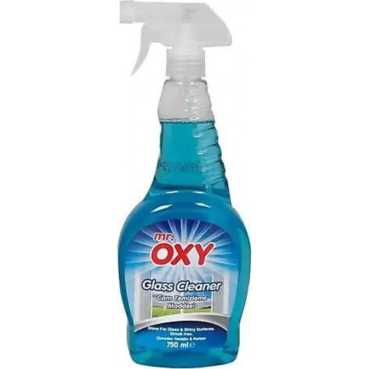 Oxy Cam Temizleme Maddesi 750 Ml*12