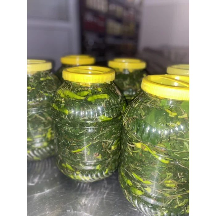 Biber Yaprağı Turşusu