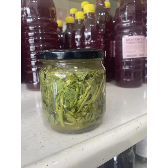 Ebe gümeci otu turşusu