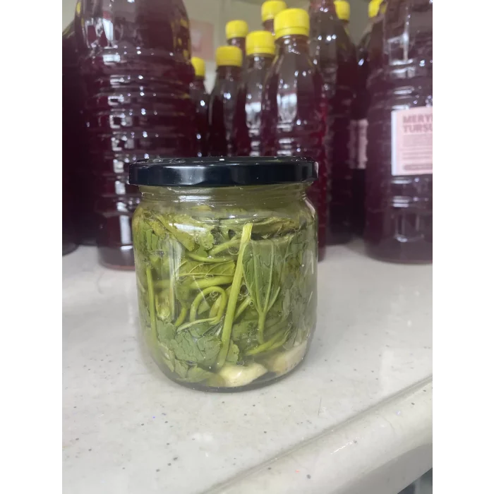 Ebe gümeci otu turşusu