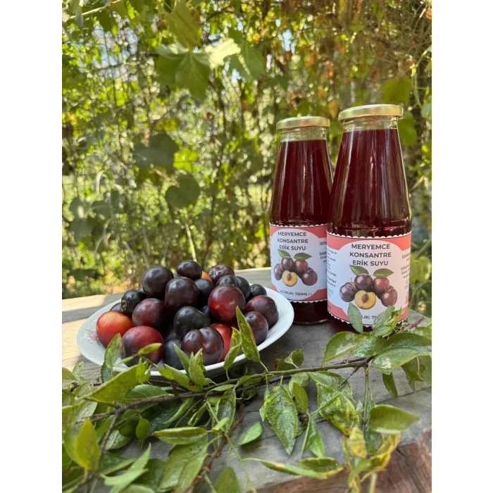 Erik Meyve Suyu konsantre