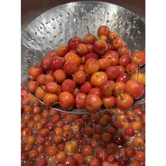 Japon elma reçeli 330 cc