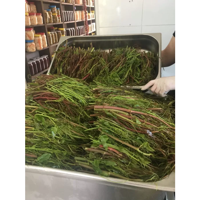 Melevcan (Kırçan, Dikenucu) Konservesi