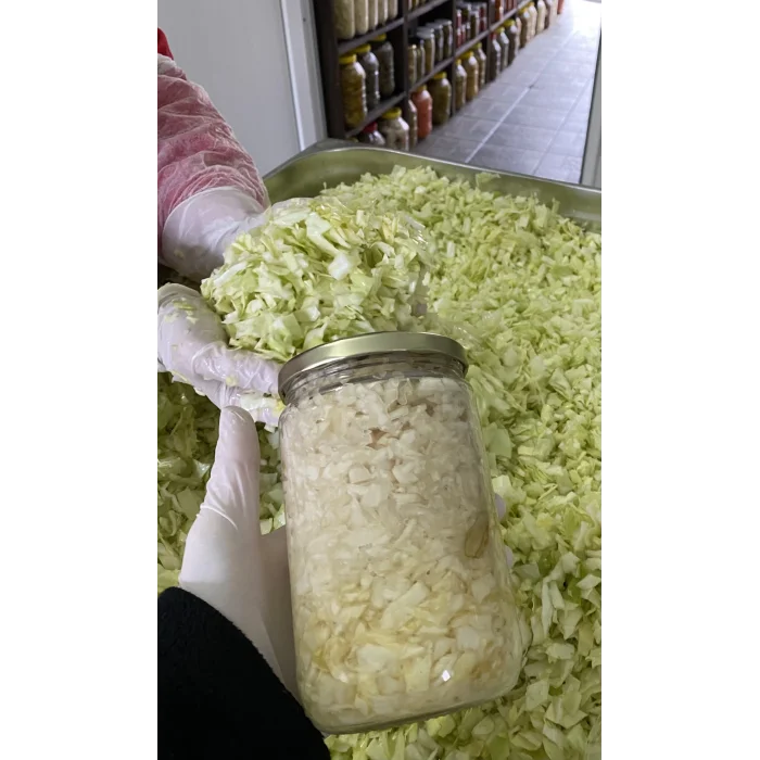 Probiyotik Lahana (Saurkraut) Turşusu
