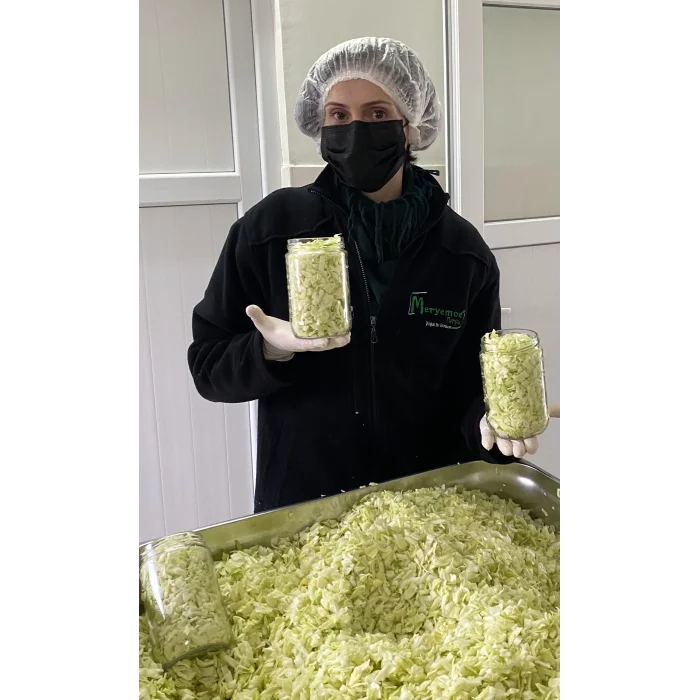 Probiyotik Lahana (Saurkraut) Turşusu