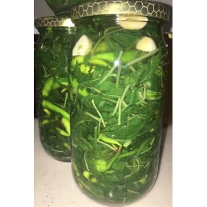 Biber Yaprağı Turşusu