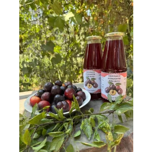 Erik Meyve Suyu konsantre