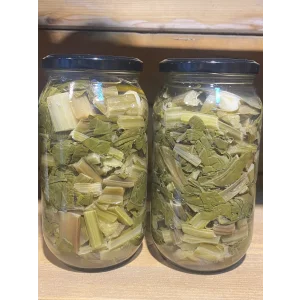 Pazı perzi turşusu