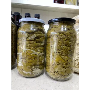 Asma Beyaz Üzüm Yaprağı (Kuru Basım)