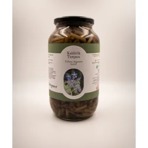 Kaldirik Hodan İspit Turşusu