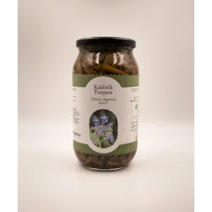 Kaldirik Turşusu