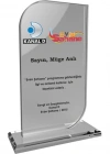 AYLİ KRİSTAL PLAKET
