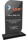 AYLİ KRİSTAL PLAKET