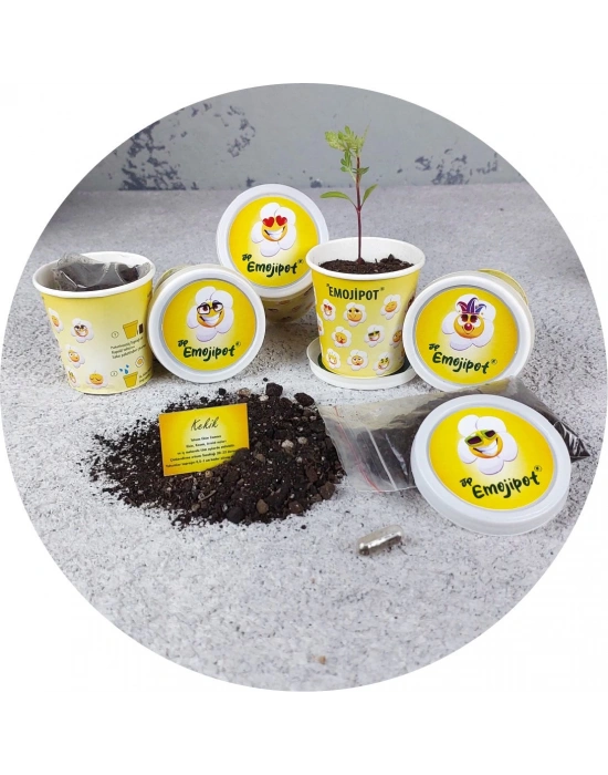 BERU BİTKİ YETİŞTİRME KİTİ (KARTON)