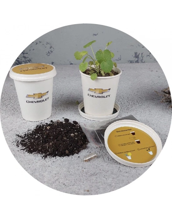 BERU BİTKİ YETİŞTİRME KİTİ (KARTON)