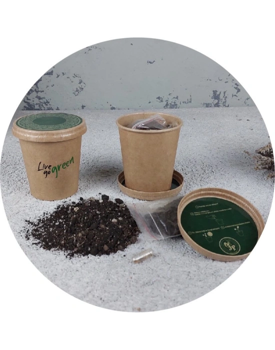 BERU BİTKİ YETİŞTİRME KİTİ (KARTON)