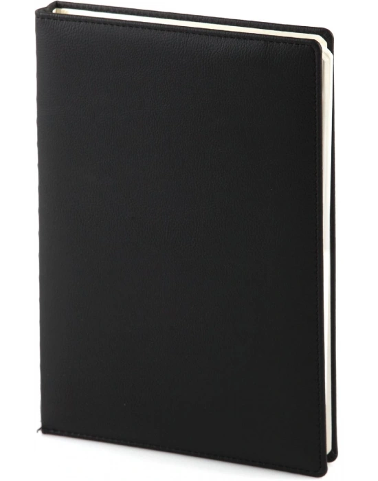 BOSTANLI TERMO DERİ AJANDA