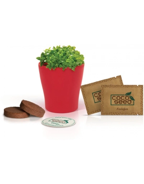 FİDA BİTKİ YETİŞTİRME KİTİ