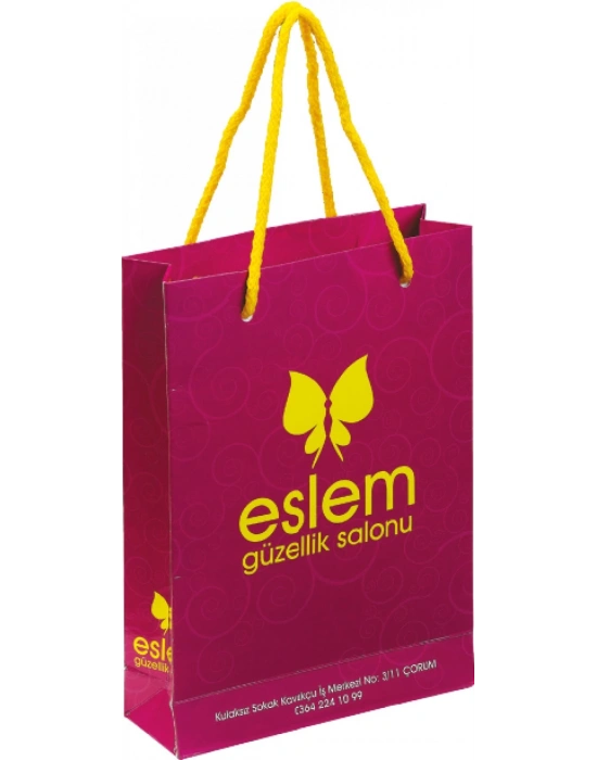 KARTON ÇANTA - 19,1 X 24 X 79,5 CM