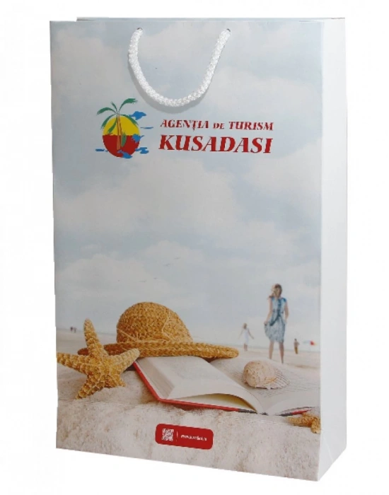 KARTON ÇANTA - 26 X 38 X 8 CM