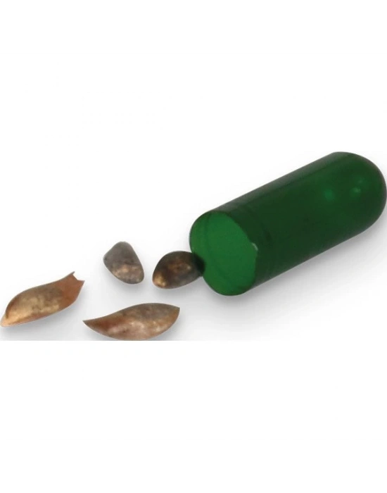 NATU TOHUMLU KURŞUN KALEM