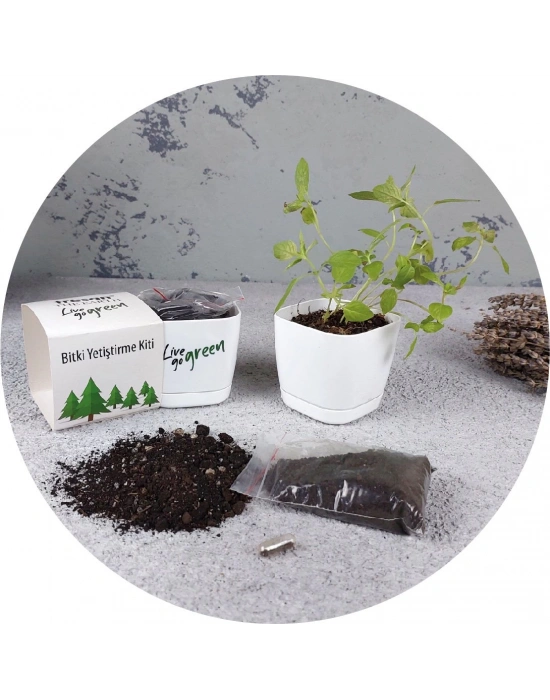 TESLİ BİTKİ YETİŞTİRME KİTİ