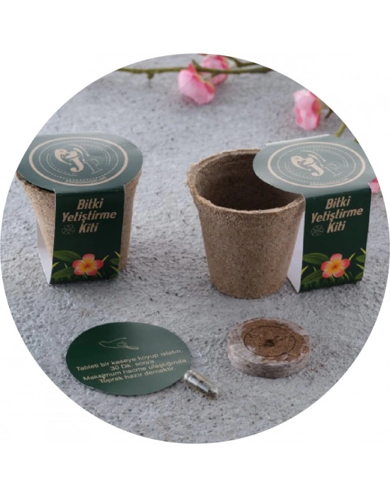 TOYA BİTKİ YETİŞTİRME KİTİ