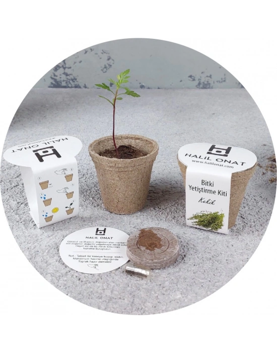 TOYA BİTKİ YETİŞTİRME KİTİ