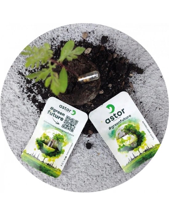 YOSU TOHUM KAPSÜLLERİ