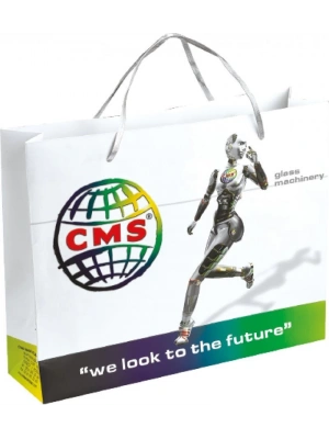 KARTON ÇANTA - 17 X 27 X 7 CM