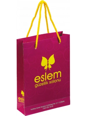 KARTON ÇANTA - 19,1 X 24 X 79,5 CM