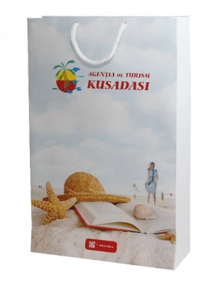 KARTON ÇANTA - 26 X 38 X 8 CM