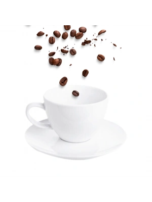 Toptan Logo Baskılı Picasso Güral Porselen Bistro Türk Kahve Fincanı