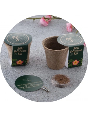 TOYA BİTKİ YETİŞTİRME KİTİ